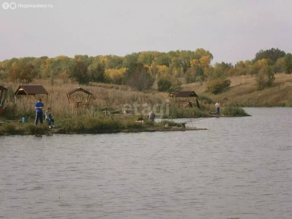 Участок в Рамонский район, Русскогвоздёвское сельское поселение, село ... - Фото 1