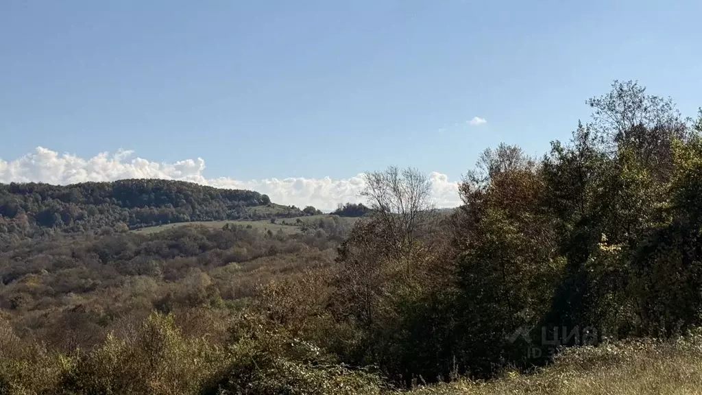 Участок в Краснодарский край, Сочи городской округ, с. Красная Воля ... - Фото 2