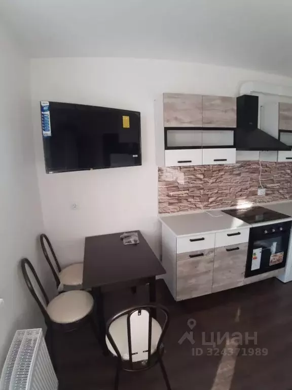 Студия Санкт-Петербург пос. Шушары, просп. Старорусский, 13к2 (21.0 м) - Фото 2