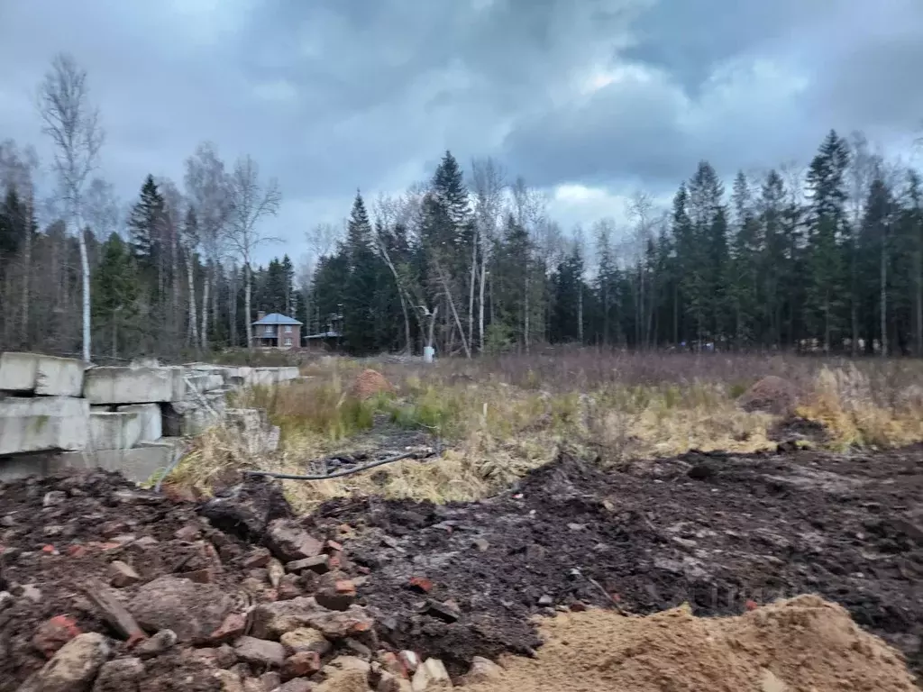 Участок в Московская область, Пушкинский городской округ, д. Могильцы, ... - Фото 1