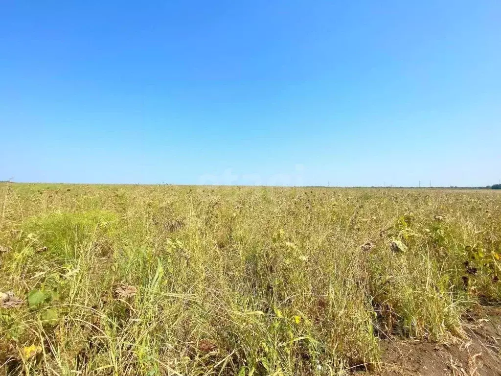 Участок в Краснодарский край, Ейск  (6.0 сот.) - Фото 0