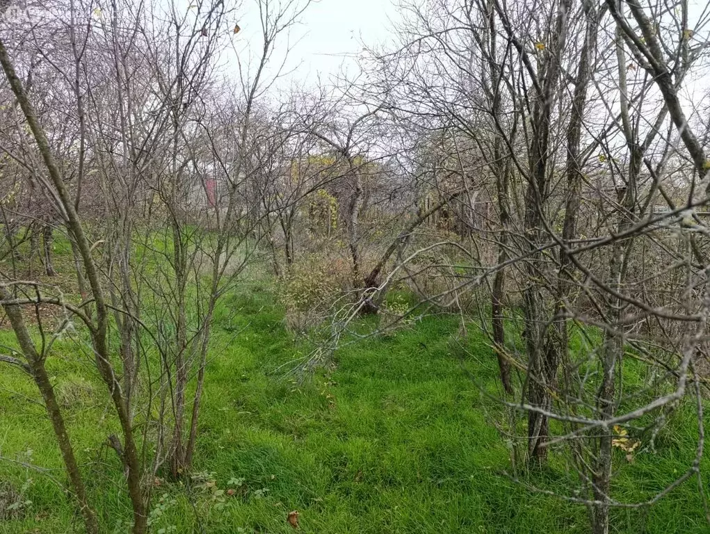 Участок в Краснодарский край, Темрюкское городское поселение, посёлок ... - Фото 2