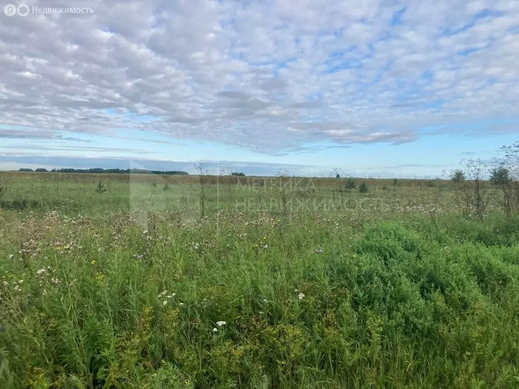 Участок в Тюменский район, село Каменка (7.4 м) - Фото 1