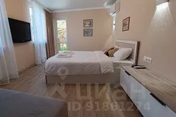 1-к кв. Ставропольский край, Пятигорск ул. Федько, 5 (20.0 м) - Фото 0