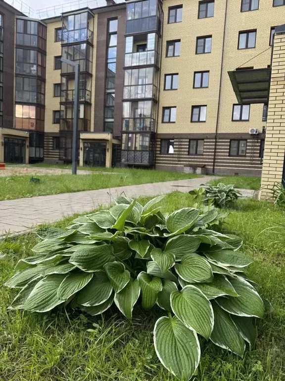 2-к. квартира, 65 м, 3/5 эт. - Фото 0