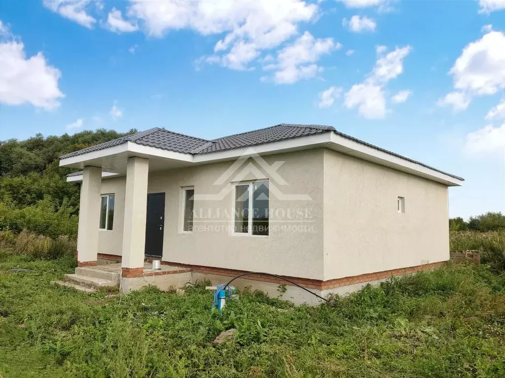 Дом в Татарстан, с. Пестрецы ул. Садовая, 20А (95 м) - Фото 2