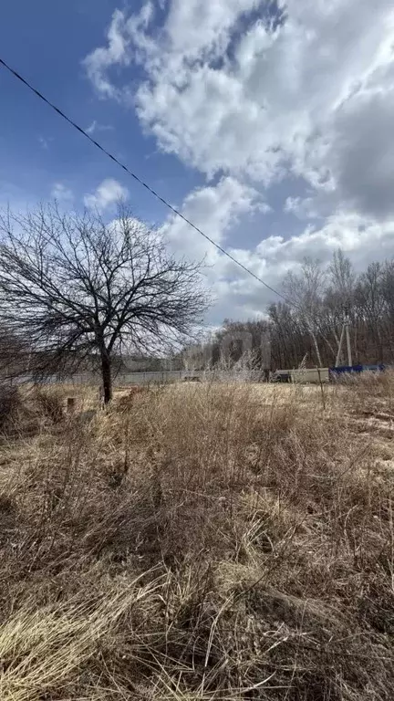 Участок в Амурская область, Благовещенск Рябинка СНТ,  (11.43 сот.) - Фото 1