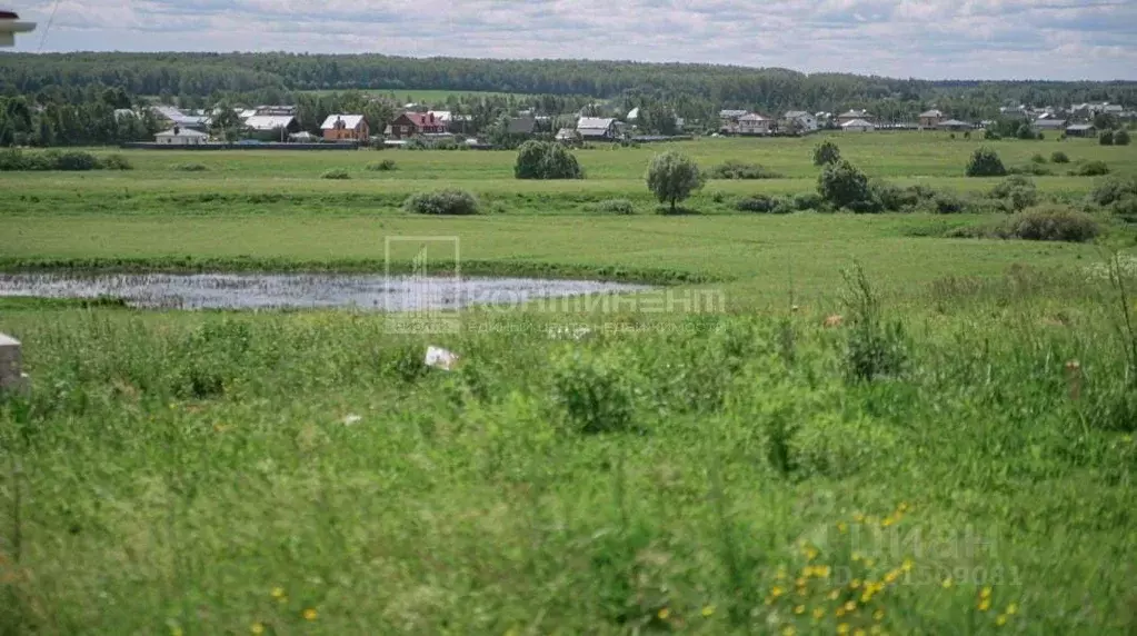 Участок в Владимирская область, Суздальский район, Павловское ... - Фото 1