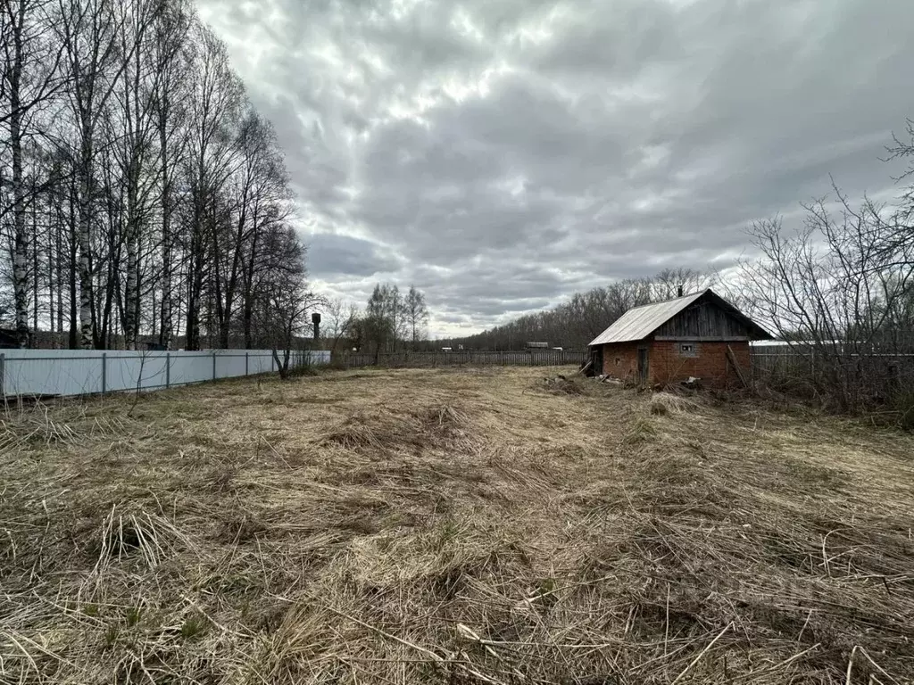 Участок в Нижегородская область, Лысковский район, д. Малиновка ул. ... - Фото 1
