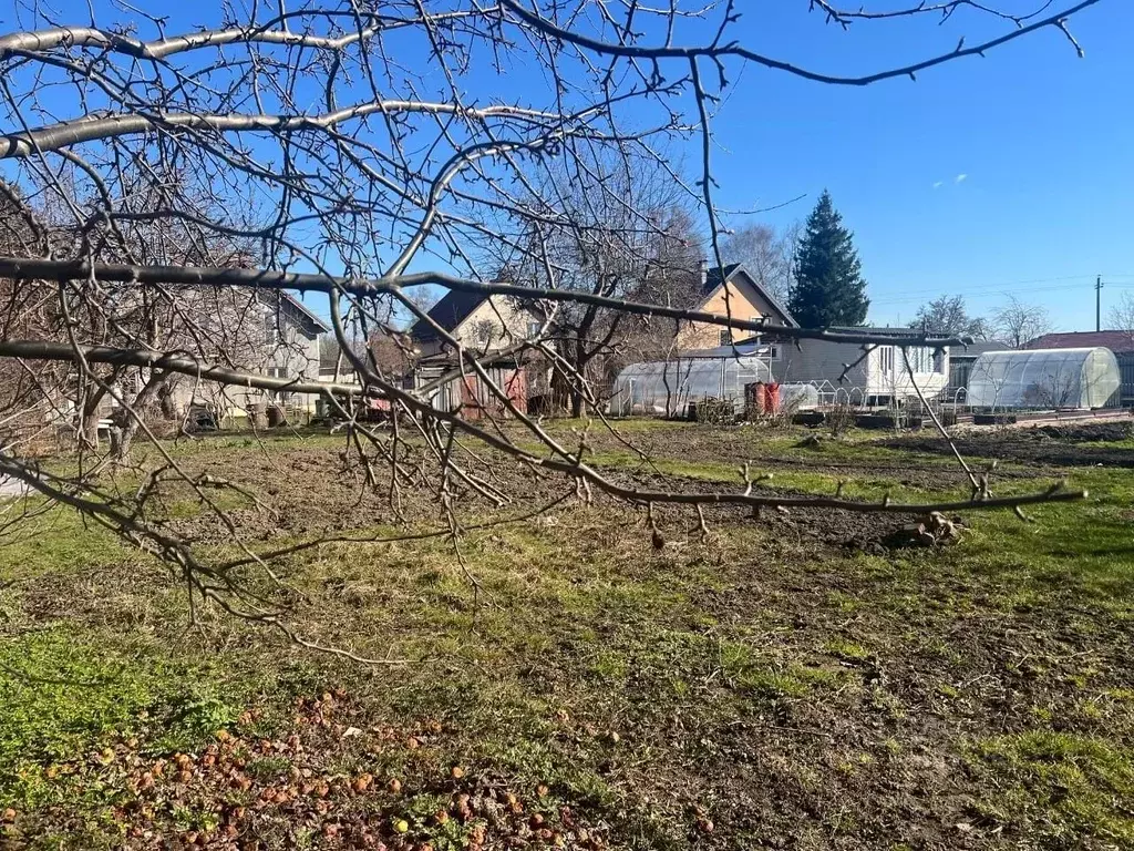 Участок в Калининградская область, Калининград Искра ТСН, ул. ... - Фото 2