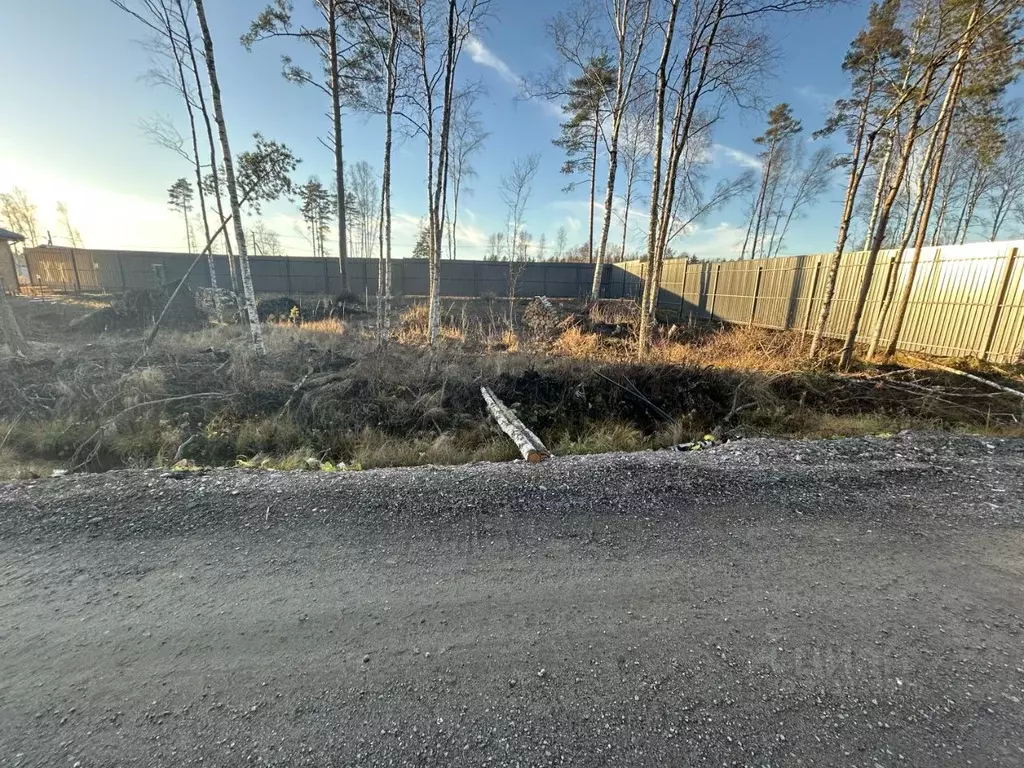Участок в Ленинградская область, Всеволожский район, Токсовское ... - Фото 0