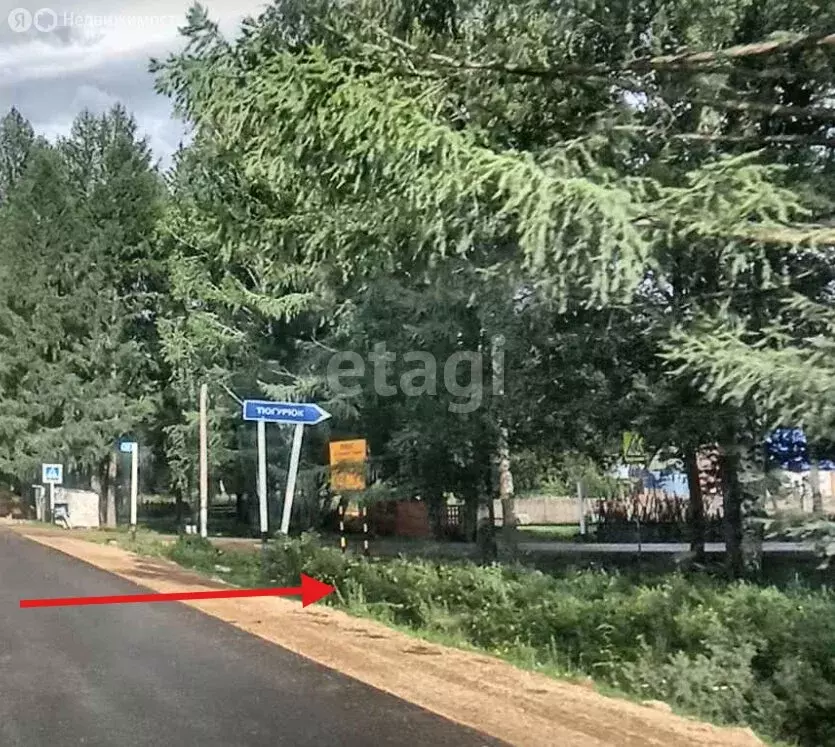 Участок в Усть-Коксинский район, посёлок Тюгурюк (17 м) - Фото 2