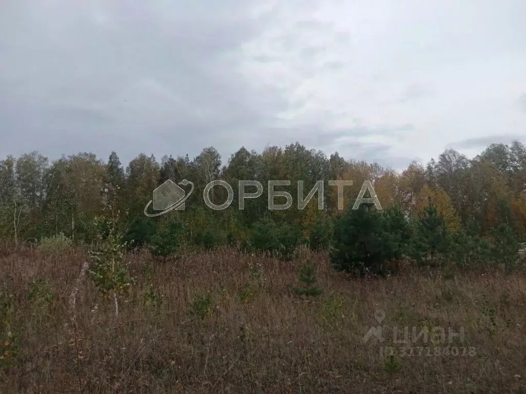 Участок в Тюменская область, Тюменский район, Новокаменский кп  (18.6 ... - Фото 0