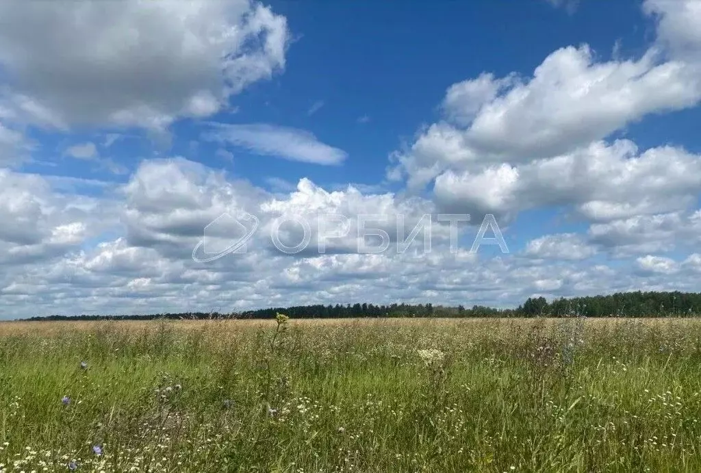 Участок в Тюменская область, Тюменский район, с. Горьковка Сибирская ... - Фото 0