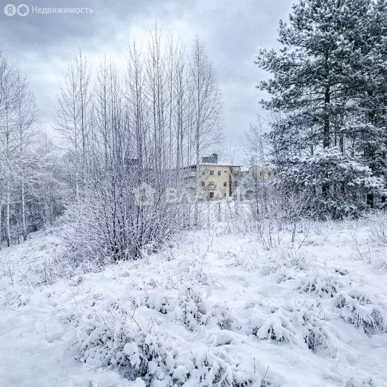 Участок в Всеволожский район, Бугровское городское поселение, деревня ... - Фото 2