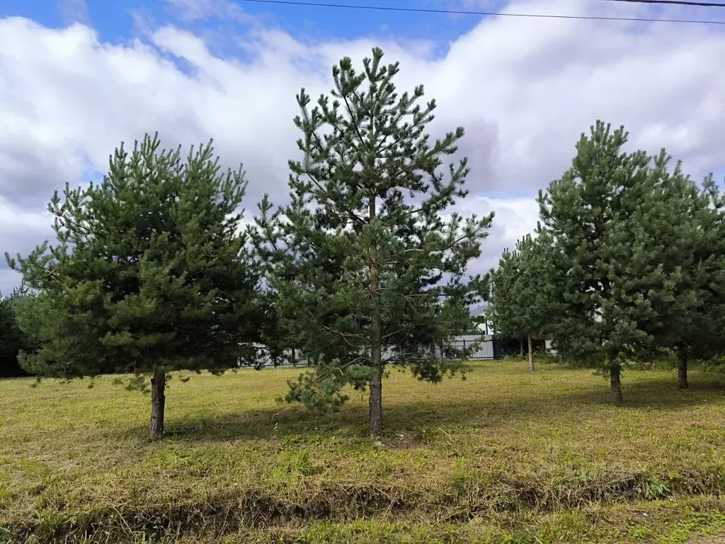 Участок в Московская область, Раменский муниципальный округ, д. Жирово ... - Фото 1