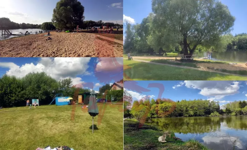 Участок в Орловская область, Урицкий район, Котовское с/пос, д. ... - Фото 2