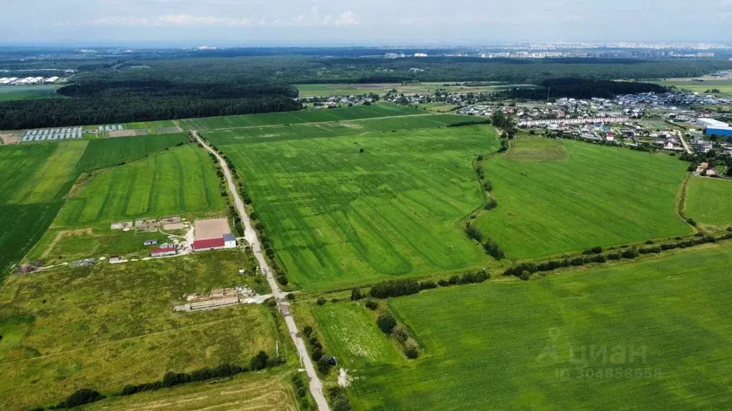 Участок в Ленинградская область, Ломоносовский район, Аннинское ... - Фото 1