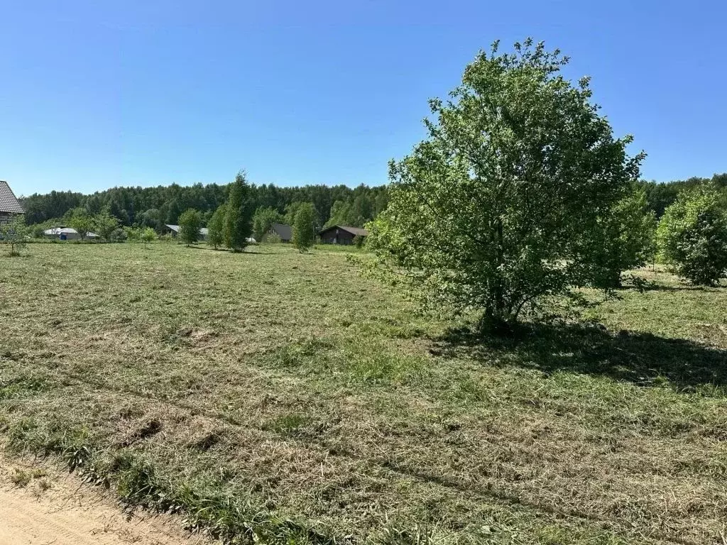 Участок в Нижегородская область, Дальнеконстантиновский муниципальный ... - Фото 1