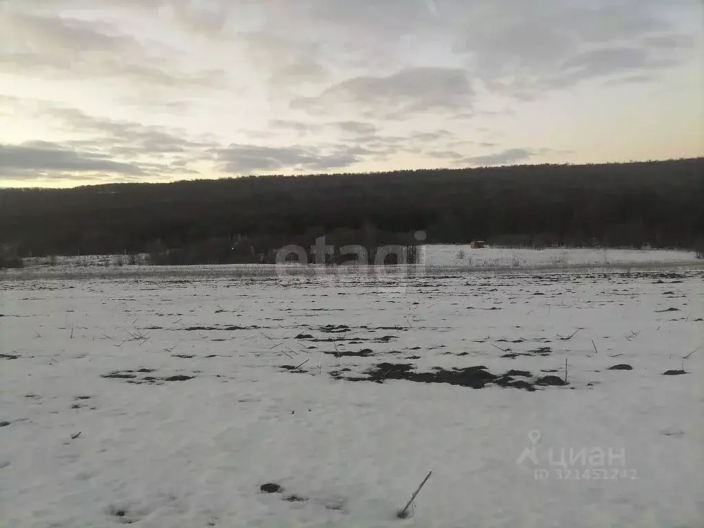Участок в Саратовская область, Базарно-Карабулакский район, ... - Фото 1