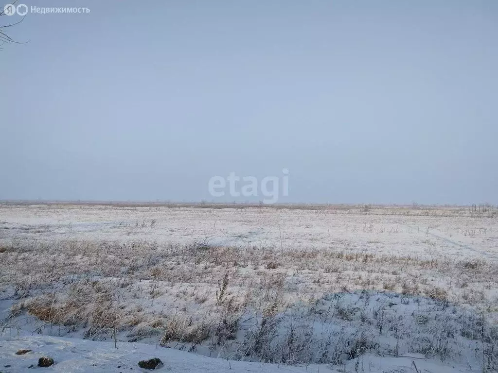 Участок в деревня Кайбалы, Калининградская улица (12 м) - Фото 0