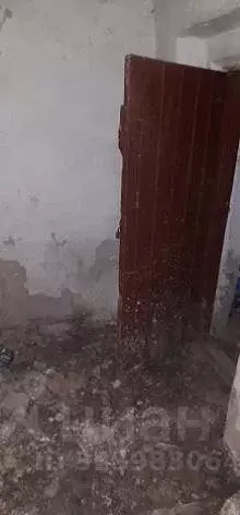 Помещение свободного назначения в Воронежская область, Воронеж ул. ... - Фото 2