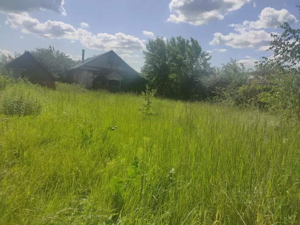 Участок в Московская область, Раменский муниципальный округ, с. Речицы ... - Фото 1