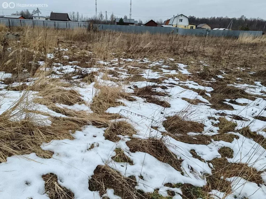 Участок в село Власово, ДНП Покровский, 3-я улица (16 м) - Фото 1