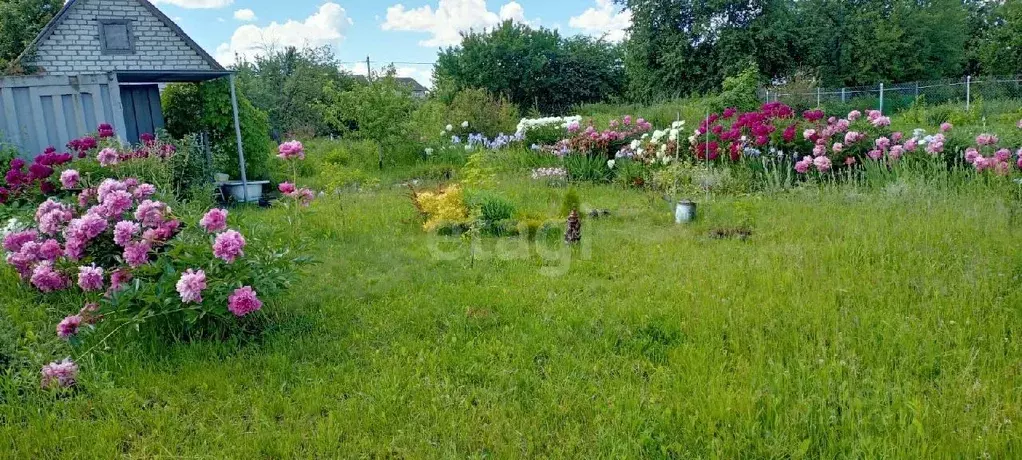 Дом в Брянская область, Брянский район, Снежское с/пос, с. Толмачево, ... - Фото 1