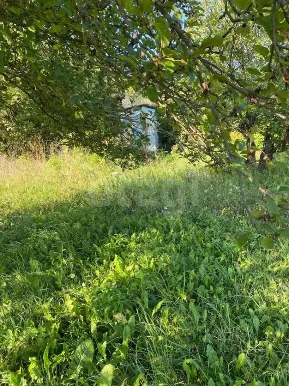 Участок в Белгородская область, Белгородский район, Беломестненское ... - Фото 1