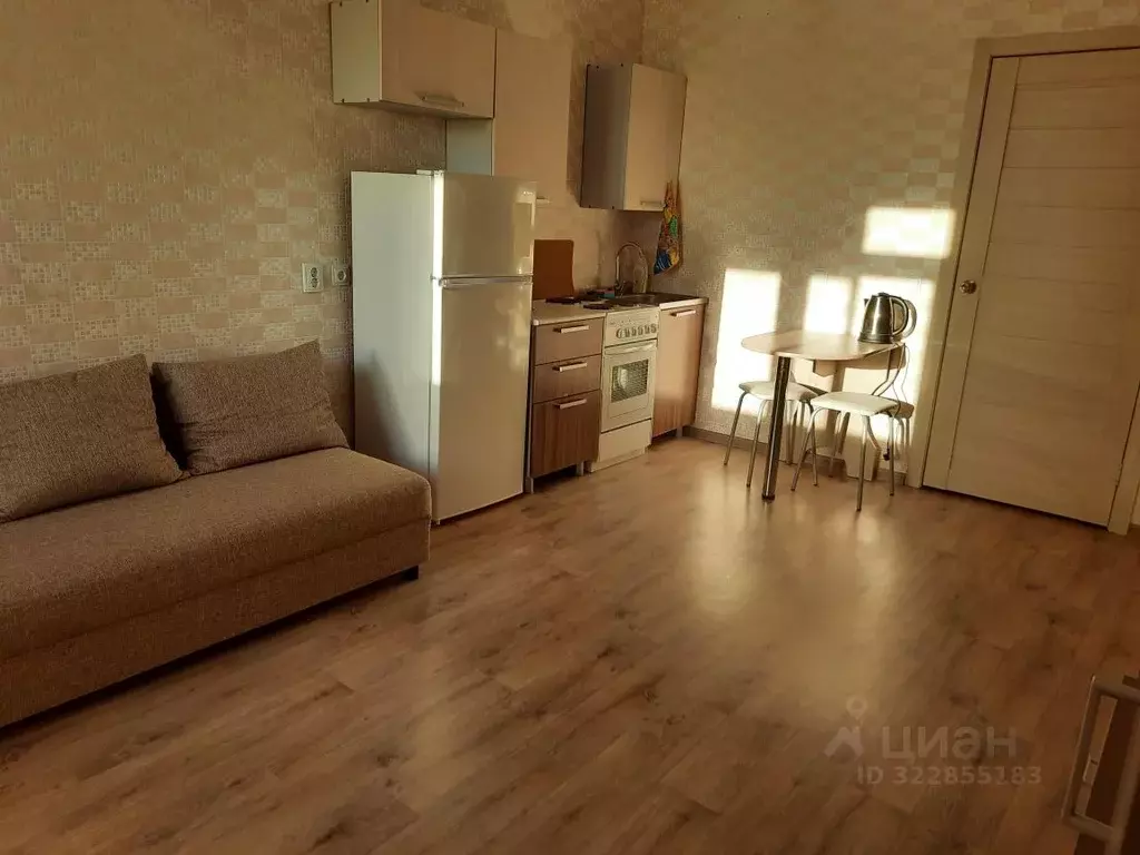 Студия Пермский край, Пермь ул. Сакко и Ванцетти, 93А (23.0 м) - Фото 2