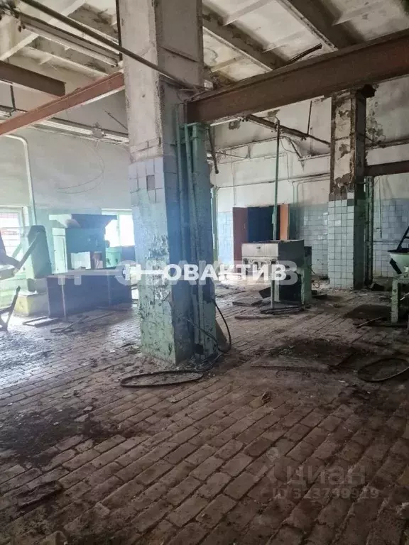 Производственное помещение в Новосибирская область, Каргат Советская ... - Фото 2