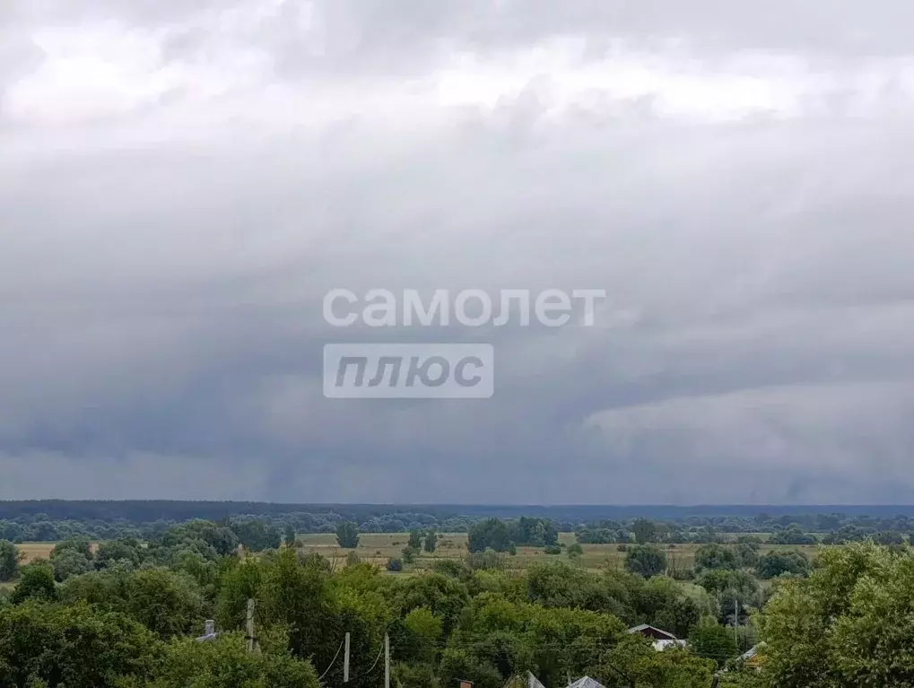 Участок в Рязанская область, Рыбновский муниципальный округ, с. ... - Фото 1