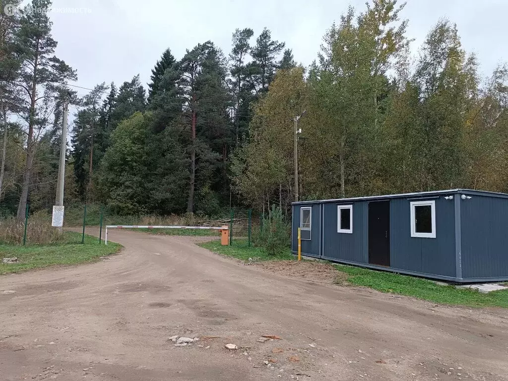 Участок в Выборгский район, Приморское городское поселение, ТСН ... - Фото 1