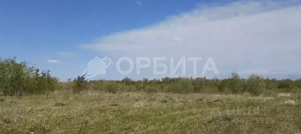 Участок в Тюменская область, Тюменский муниципальный округ, ... - Фото 1