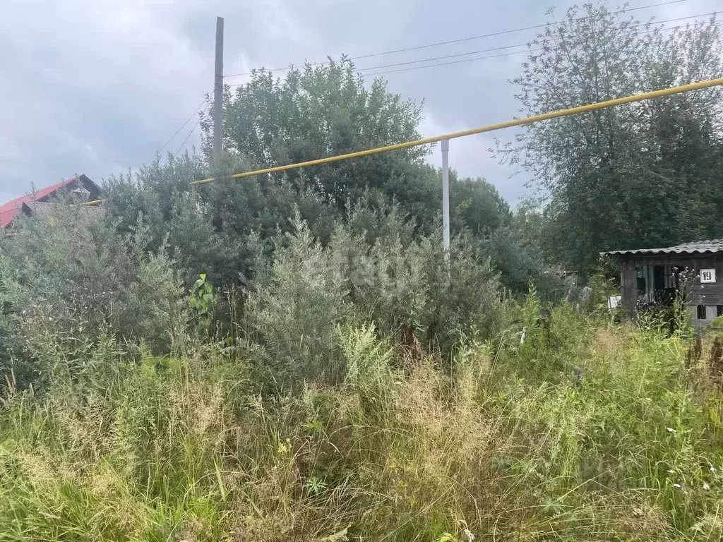 Участок в Томская область, с. Молчаново ул. Южная (15.0 сот.) - Фото 1