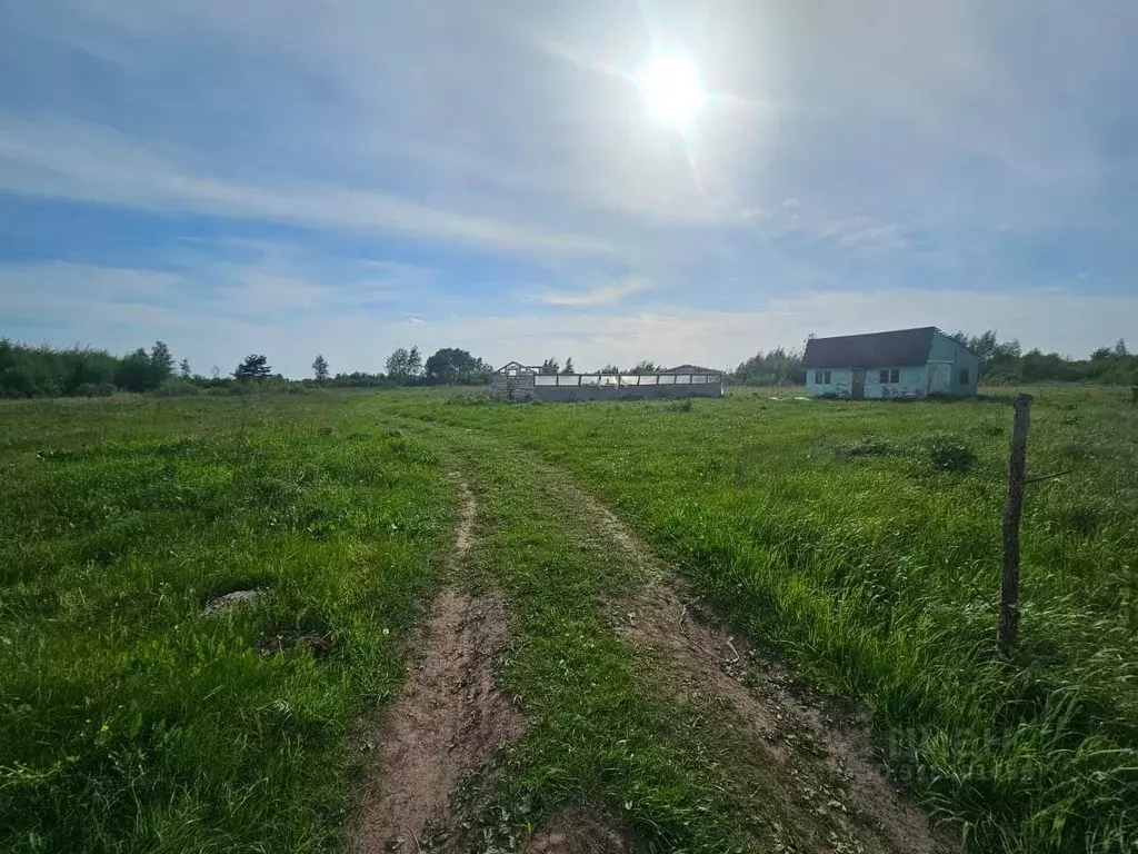 Участок в Московская область, Воскресенск городской округ, с. Михалево ... - Фото 1