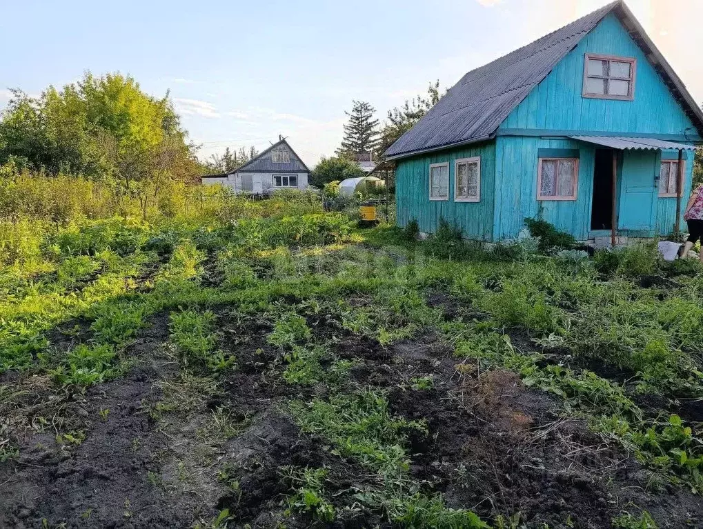 Дом в Курганская область, Курган КМЗ-1 СНТ, 453 (16 м) - Фото 1