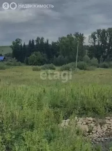 Участок в Алтайский район, село Верх-Ая, Алтайская улица (20 м) - Фото 1