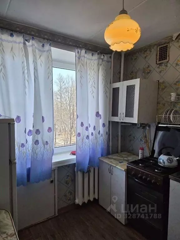 3-к кв. Ленинградская область, Сланцы пос. Большие Лучки, ул. ... - Фото 1