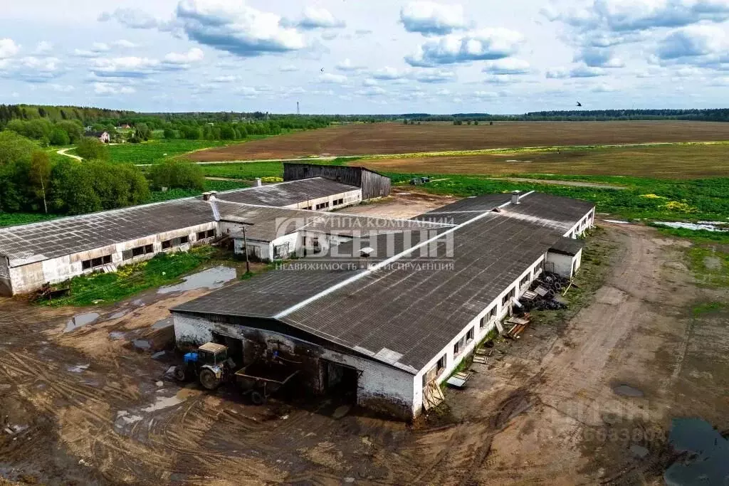 Производственное помещение в Ленинградская область, Волосовский район, ... - Фото 1