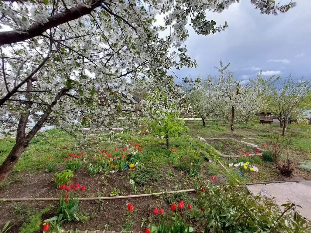 Дом в Волгоград, СНТ Металлург, 3-й участок (45 м) - Фото 2