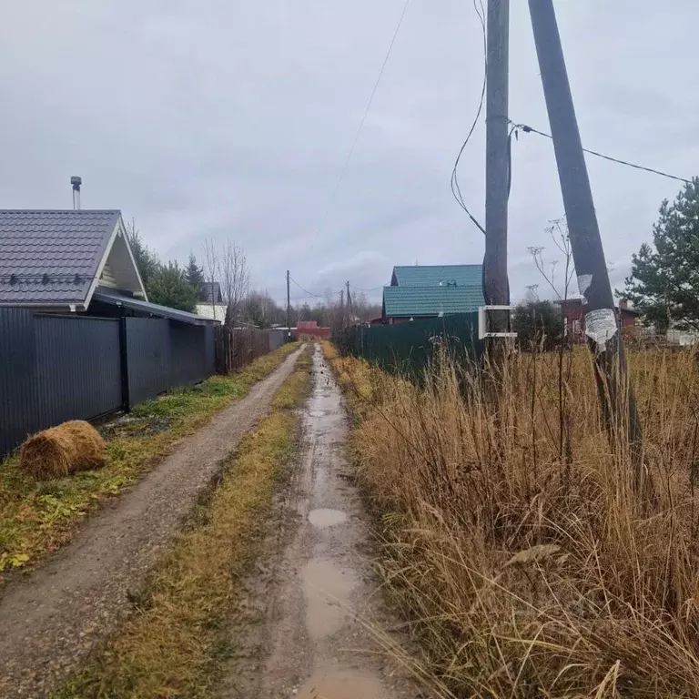 Участок в Пермский край, Добрянский муниципальный округ, д. Городище ... - Фото 2