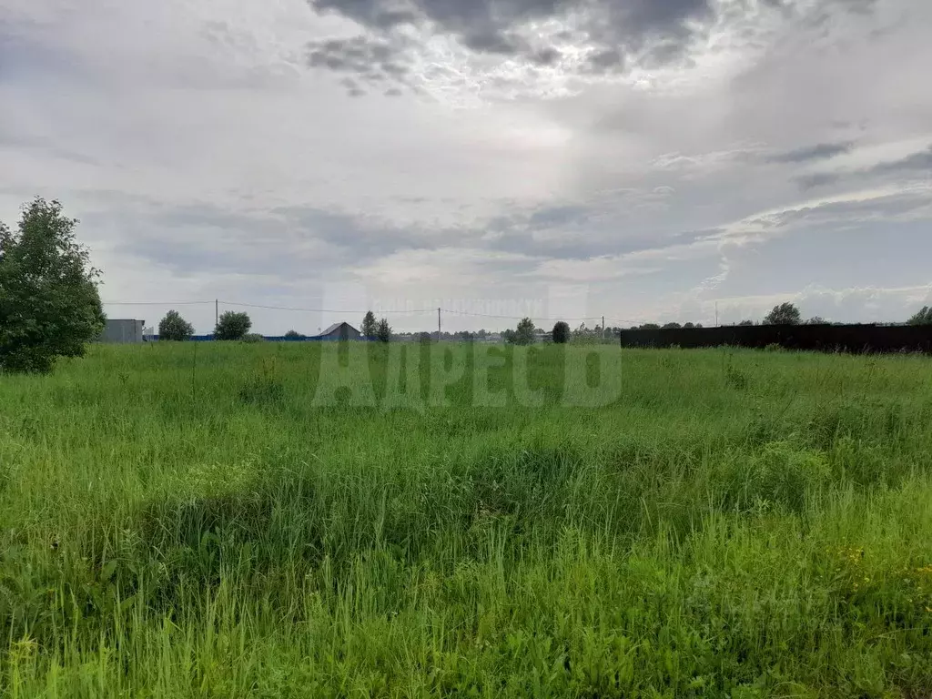 Участок в Калужская область, Малоярославецкий район, с. Коллонтай ул. ... - Фото 2