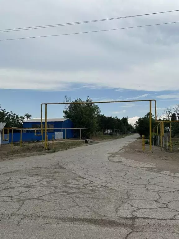 Участок в Краснодарский край, Щербиновский район, с. Николаевка ул. ... - Фото 1