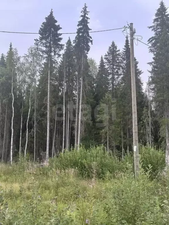 Участок в Коми, Сыктывкар ул. 10-я Линия (12.74 сот.) - Фото 2