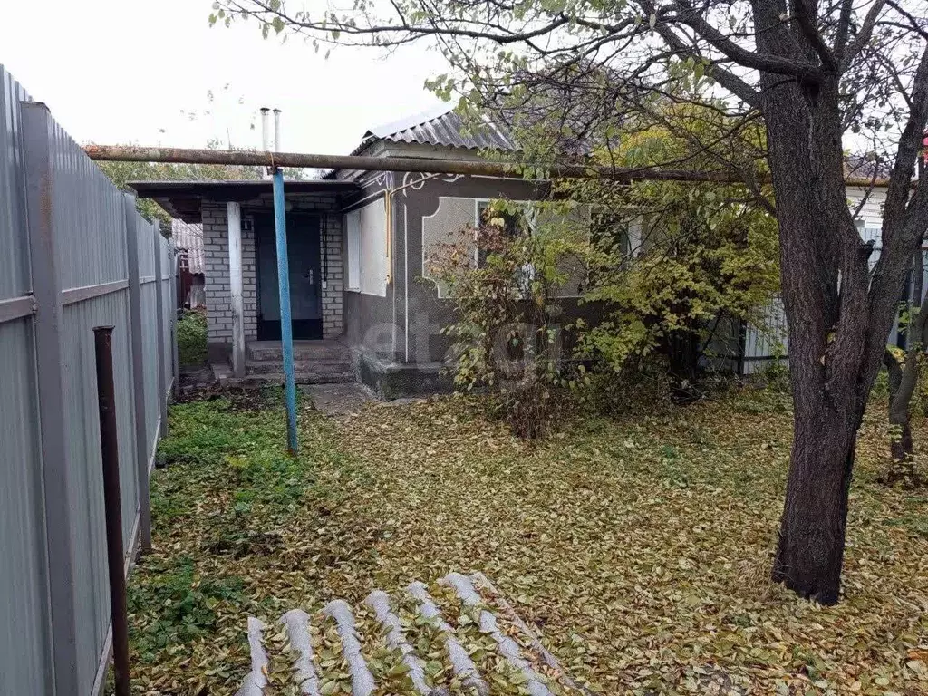 Дом в Белгородская область, Губкин Верхняя ул., 8 (37 м) - Фото 1