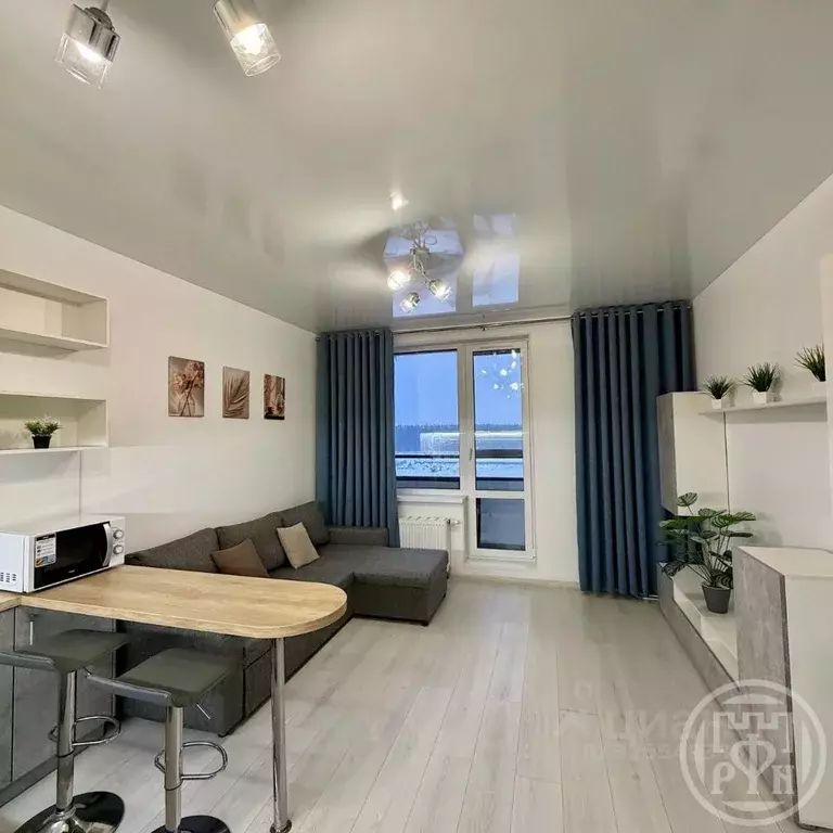 Студия Санкт-Петербург ш. Суздальское, 20к4 (25.0 м) - Фото 1