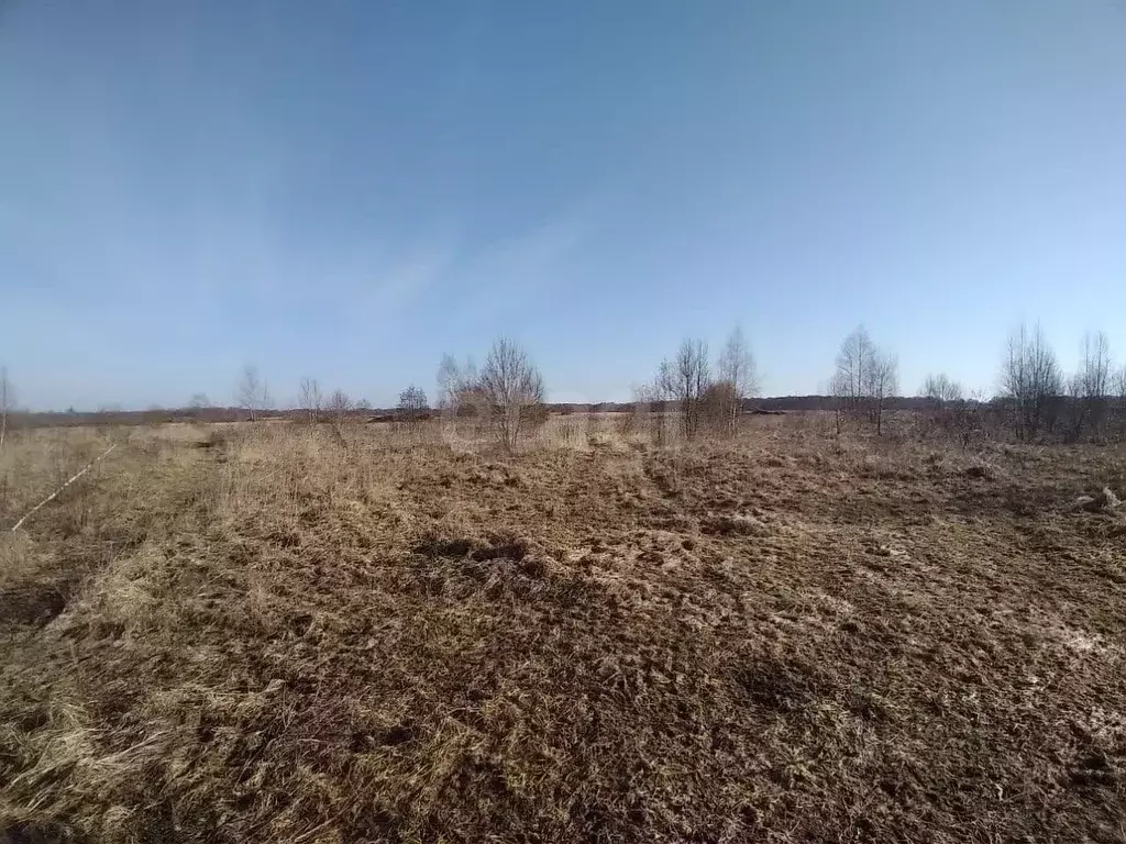 Участок в Псковская область, Печорский муниципальный округ, д. Усадище ... - Фото 1