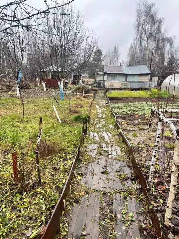 Участок в Татарстан, Верхнеуслонский район, Введенско-Слободское ... - Фото 2